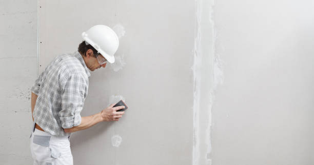 Best Drywall Crack Repair  in Olympia Fields, IL